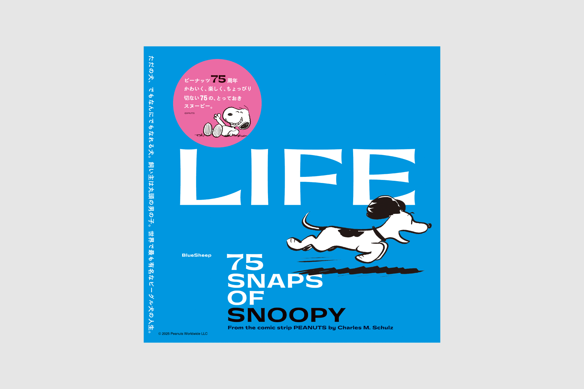 SNOOPY様ご説明画像追加 スヌーピーと仲間たちのラベルが作れるラベルライター | カシオ