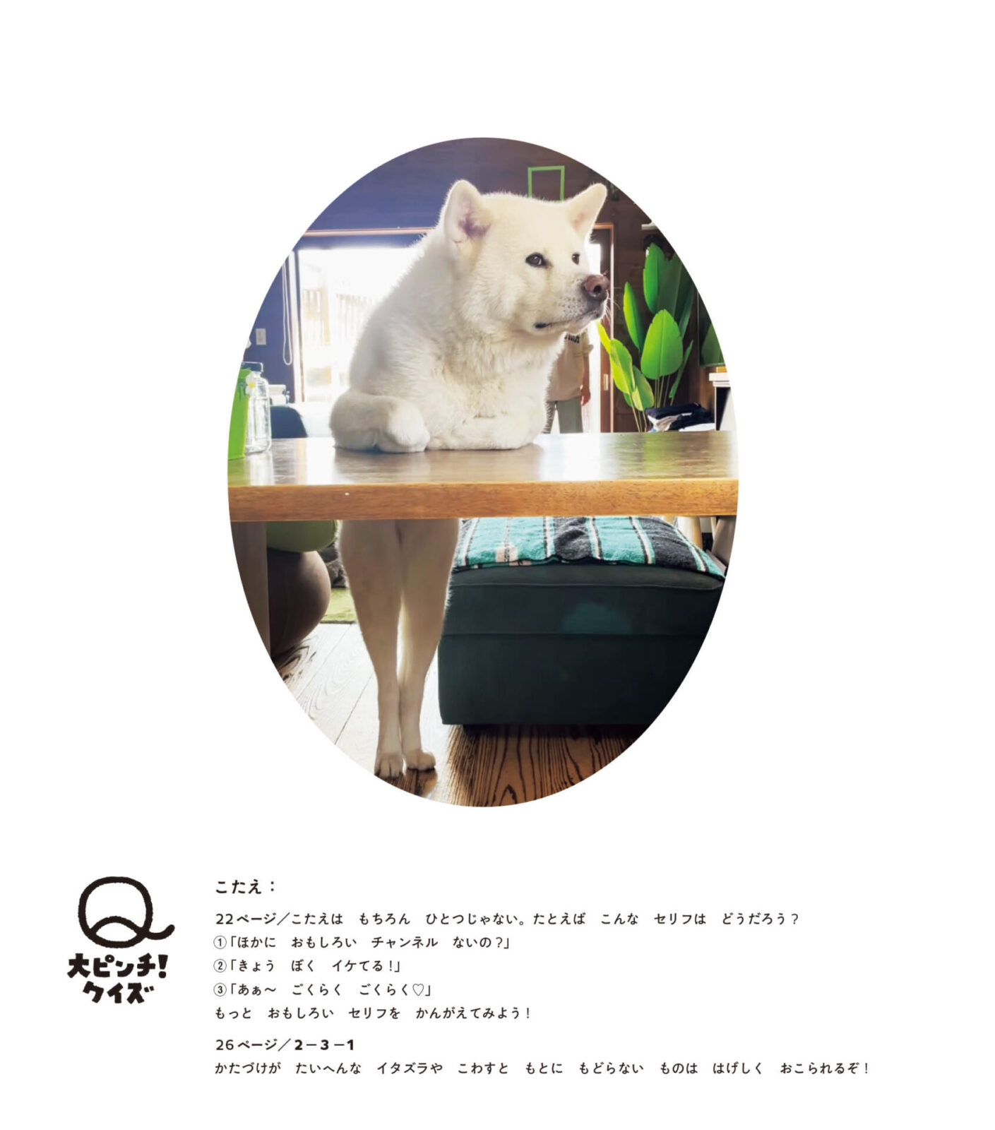 犬たちの色々なピンチを集めた『犬ピンチずかん』会場限定で好評発売中 